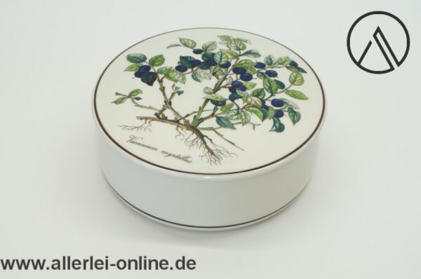 Villeroy & Boch Botanica | Vaccinium myrtillus mit Wurzel | Bonboniere Dose mit Deckel | 15 cm