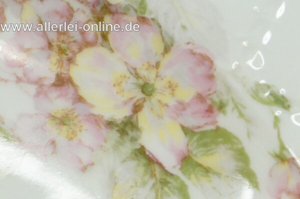 Antik Haviland France Limoges | Porzellan Teller | Suppenteller - Speiseteller | Tiefer Teller Blüten / Blätter Dekor | Ø 24 - Goldrand