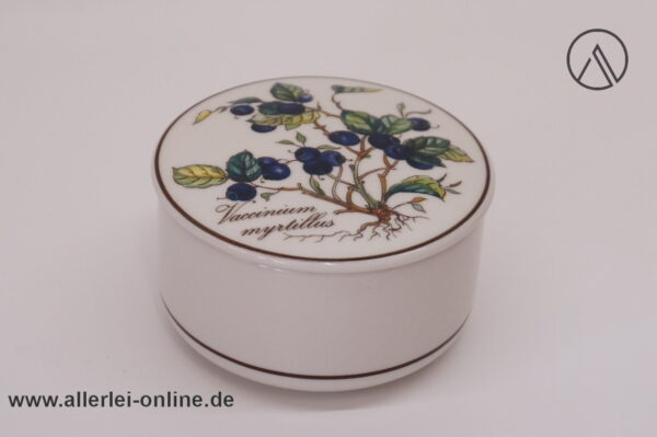 Villeroy & Boch Botanica | Vaccinium myrtillus mit Wurzel | Bonboniere Dose mit Deckel | 8 cm