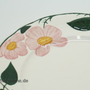 Villeroy & Boch | Wildrose | Kuchenteller - Dessertteller - Frühstücksteller | Ø 21 cm Decor