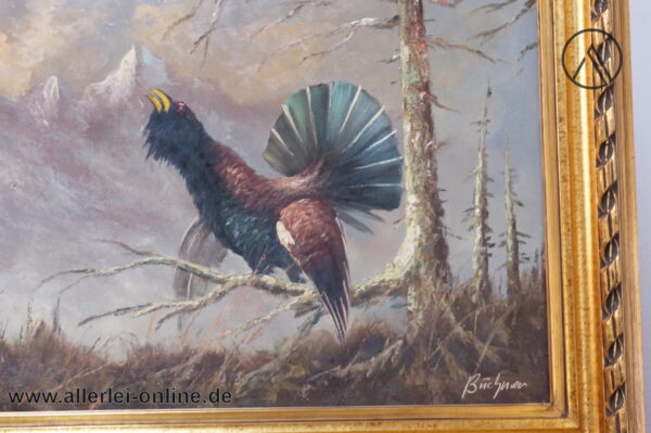Ölgemälde | balzender Auerhahn | Öl auf Leinwand - Büchner Signiert ,gerahmt 71 x 120 cm Kunst