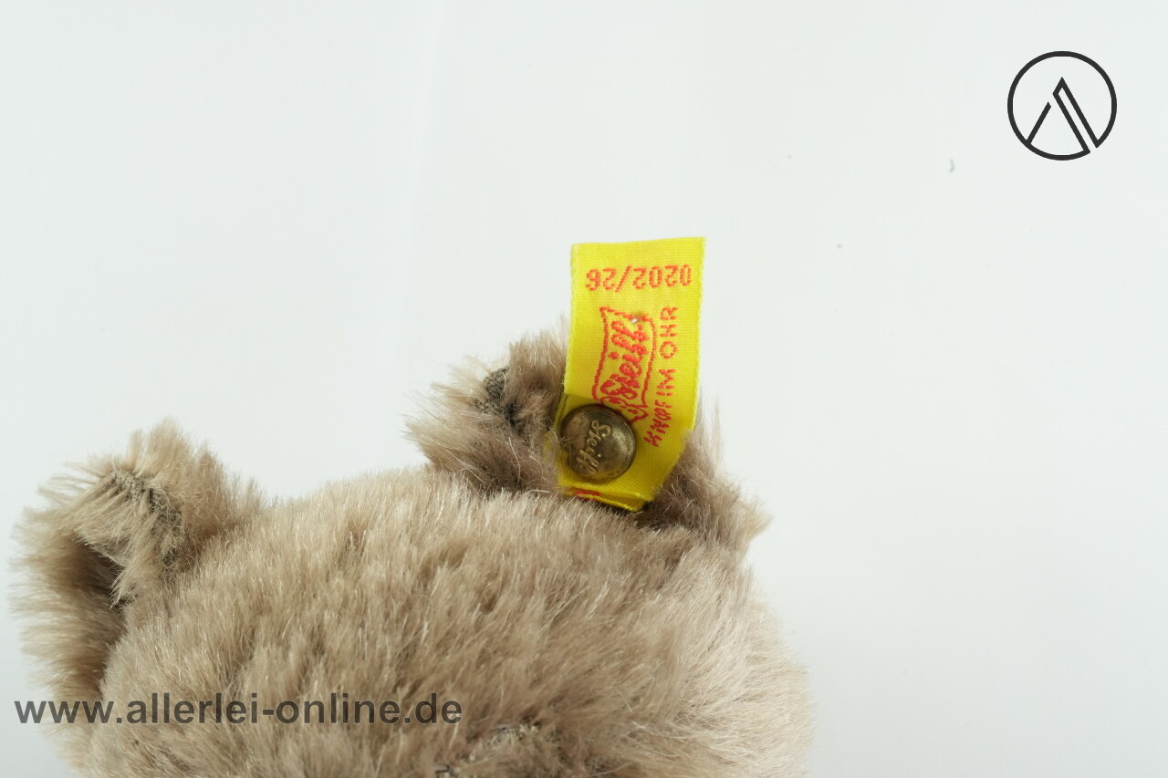 Steiff Teddybär | Steiff Bär Braun | 26cm mit KF 020226 3 Steiff Teddybär | Steiff Bär Braun | 26cm mit KF 020226 3