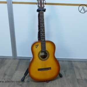 EKO P2/S Gitarre | Vintage-Akustikgitarre mit geschraubtem Hals aus den 60-70er Jahren