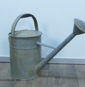 AEMA Zink-Gießkanne | Verzinkte 10 Ltr. Gießkanne mit langer Tülle