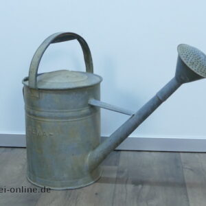 AEMA Zink-Gießkanne | Verzinkte 10 Ltr. Gießkanne mit langer Tülle