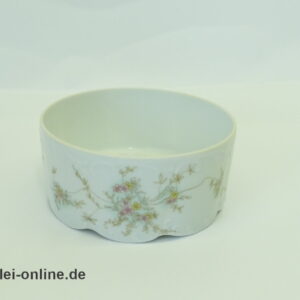 Rosenthal Classic Rose | Porzellan Dessertschale Dessertschüssel | Monbijou Grüne Ranke