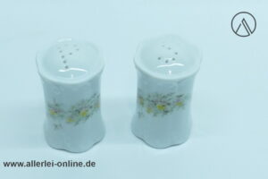 Rosenthal Classic Rose | Porzellan Pfeffer und Salzstreuer | Monbijou Grüne Ranke