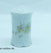 Rosenthal Classic Rose | Porzellan Pfeffer und Salzstreuer | Monbijou Grüne Ranke 1