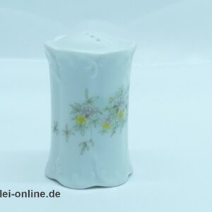 Rosenthal Classic Rose | Porzellan Pfeffer und Salzstreuer | Monbijou Grüne Ranke 1
