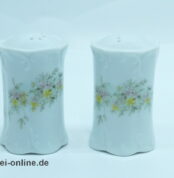 Rosenthal Classic Rose | Porzellan Pfeffer und Salzstreuer | Monbijou Grüne Ranke 4