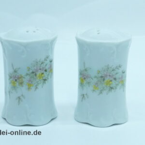 Rosenthal Classic Rose | Porzellan Pfeffer und Salzstreuer | Monbijou Grüne Ranke 4